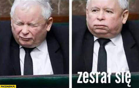 Zesrał się memy Paczaizm pl memy polityczne śmieszne obrazki