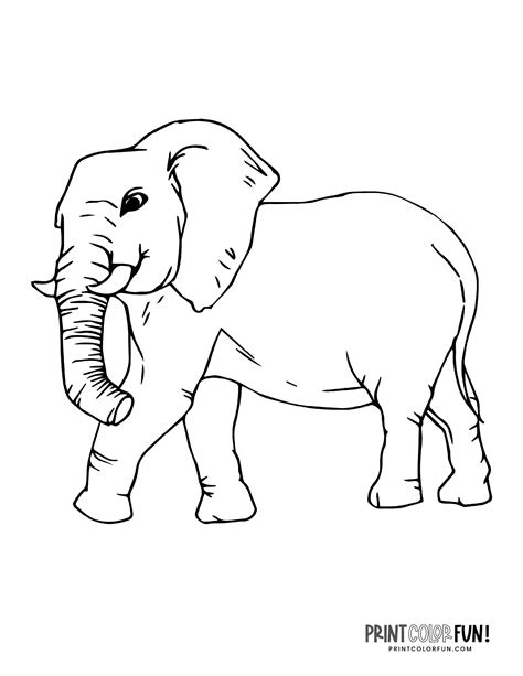 Elephant Printable