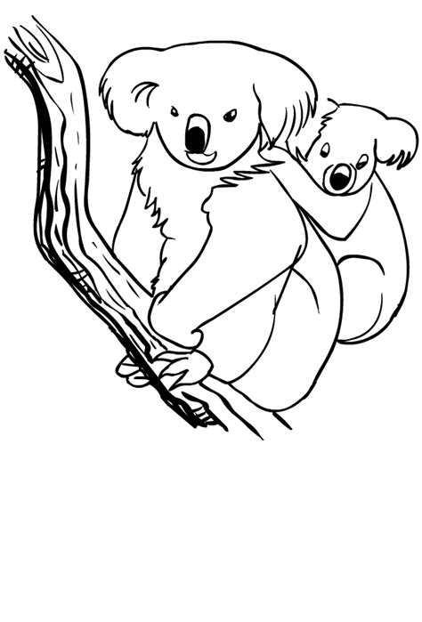 Desenhos De Koala Para Colorir The Best Porn Website