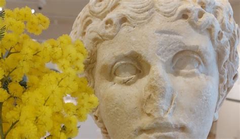 Ancona Agrippina E Le Altre Marzo Al Museo Archeologico Delle