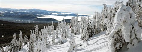 Outdoor Winter Activities Program Victoria & Vancouver Island | WEA Ski Lessons Victoria ...