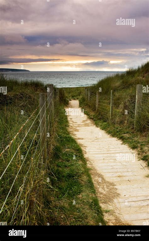 A Wooden Walkway Through Sand Dunes Covered With Marram Grass In