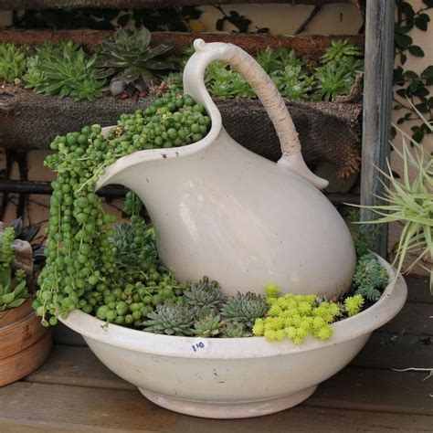 How To Make An Indoor Succulent Dish Garden In Succulent