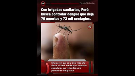 Con Brigadas Sanitarias Per Busca Controlar Dengue Que Deja