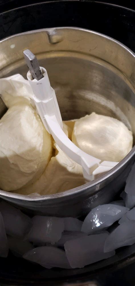 Make Homemade Goat Milk Ice Cream - Packgoats.com