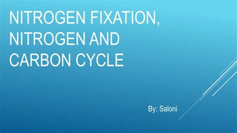 Nitrogen fixation, | PPT