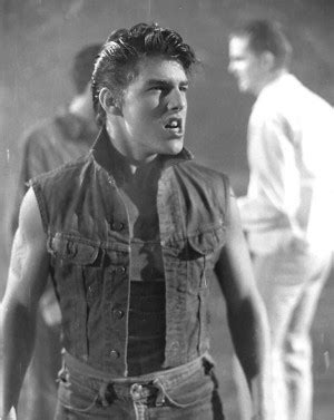 Steve Randle The Outsiders Quotes. QuotesGram