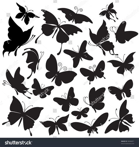 Set Of Silhouettes Of Butterflies Stock Vector Illustration 58086871