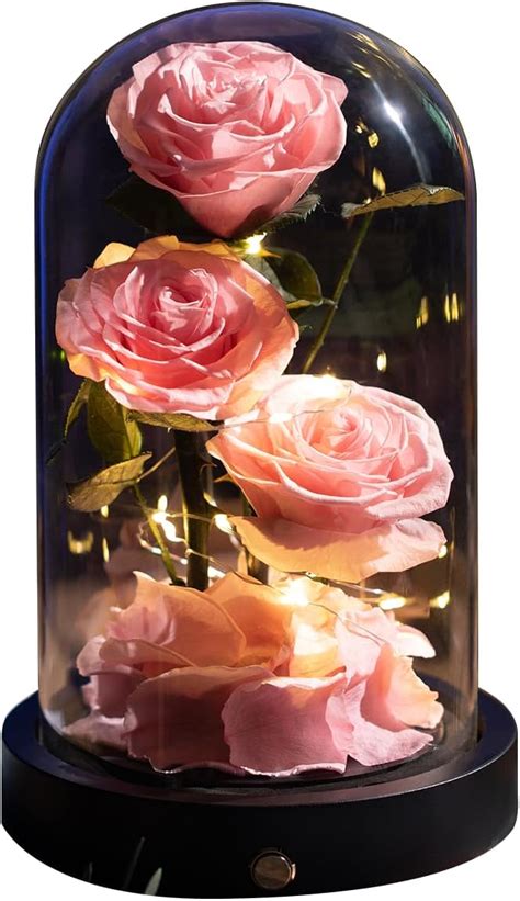 Amazon Agrul Mothers Day Pink Roses Gifts For Mom Preserved Flower