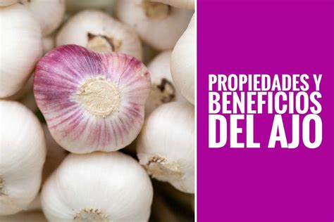 Beneficios Y Propiedades Del Ajo Probados Por La Ciencia Ajo