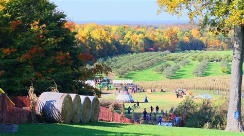 Mapleside Farms pumpkin village reopen fall 2020 | wkyc.com