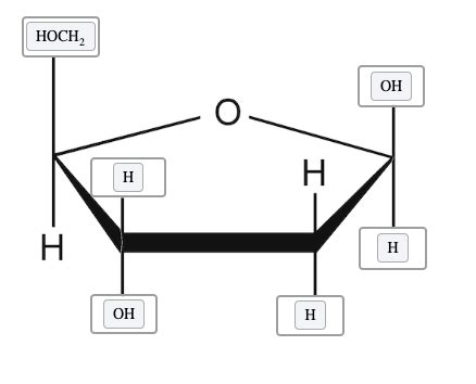 Nucleic Acid Structure Flashcards | Quizlet