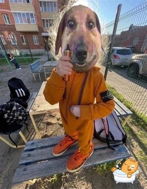 дрисня | Веселые мемы, Мемы, Пони