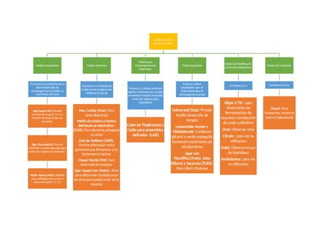 Clasificación De Los Medios De Cultivo Esquemas Y Mapas Conceptuales