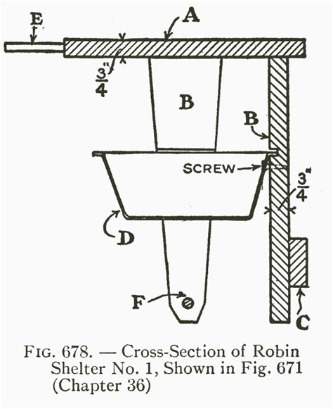 Robin bird house plans – How to make a birdhouse out of wood | DIY Projects