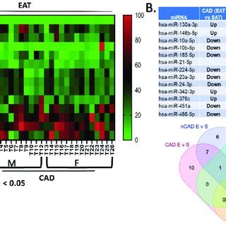 Sex Specific Differences In MiRNA Regulation In EAT And SAT From