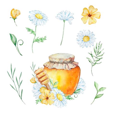 Premium Vector Watercolor Honey Set Honey Jar Daisies And Flowers