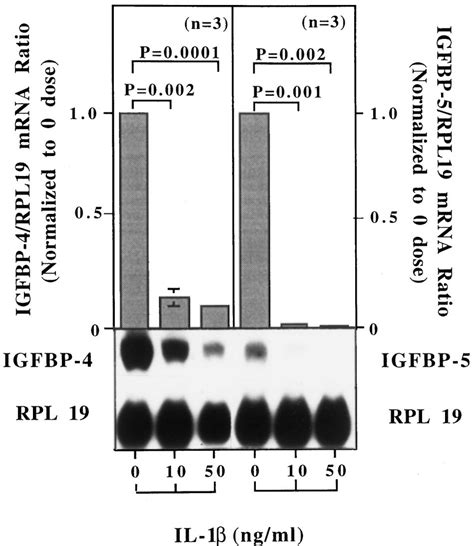 Granulosa Cell Derived IGFBP 4 And 5 Gene Expression Effect Of