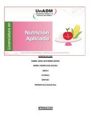 Nfap U A Kamz Docx Nutricion Aplicada Nombre Karen Lizeth Moreno