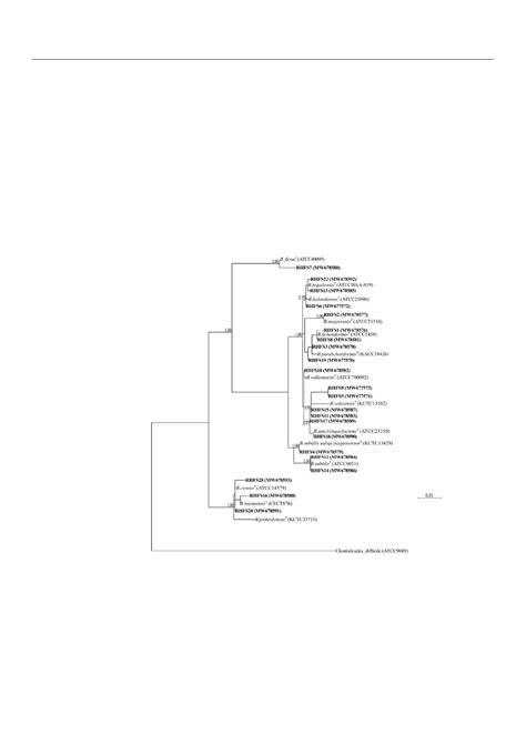 Pdf Growth Promotion Function Of Bacillus Sp Strains Isolated From