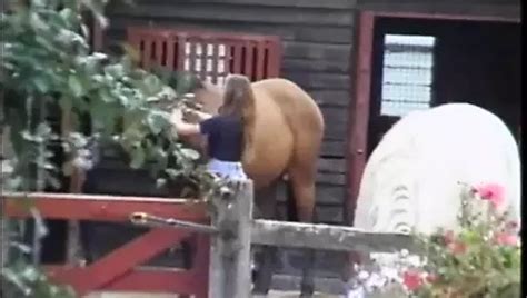 Buttman S Anal Divas Full Movie XHamster