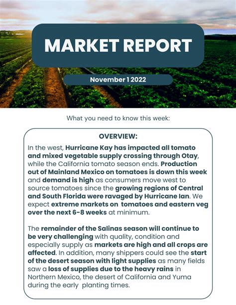 Market Report November 1st 2022 Bondi Produce