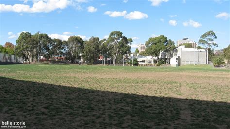 grounds glenferrie oval google search