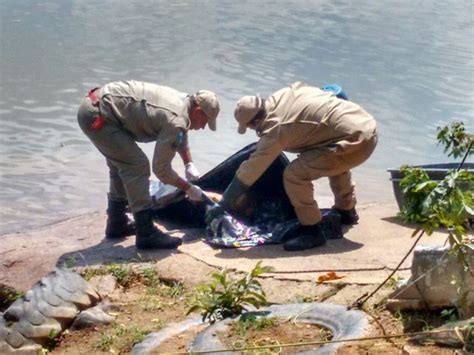 G1 Corpo de pescador é encontrado dentro de rio em Paraíba do Sul