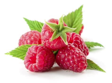 Sprigs Red Raspberry Leaf Raspberry Herbs