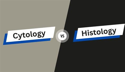 5 Key Difference Between Cytology and Histology | Globally Info