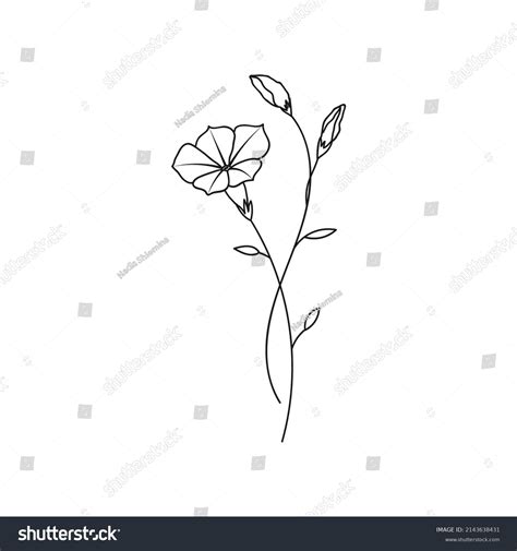 september birth flower tattoo aster morning glory 7