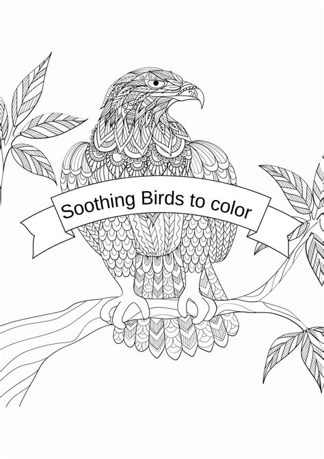 Mandala Coloring Pages Birds Printable Intricate Patterns - Etsy