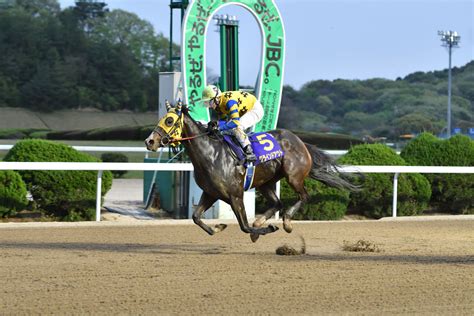 【グランダムジャパン3歳シーズン】高知グラインドアウトが優勝関東オークスで3着（競馬のおはなし） Yahooニュース