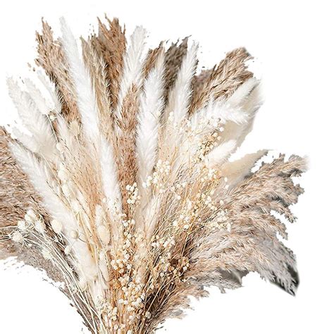 100 peças de buquê de grama seca natural pampas flores secas para