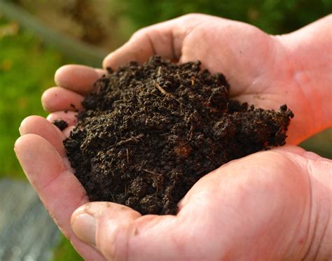 Terreau Espaces Verts en vrac Lemée fils