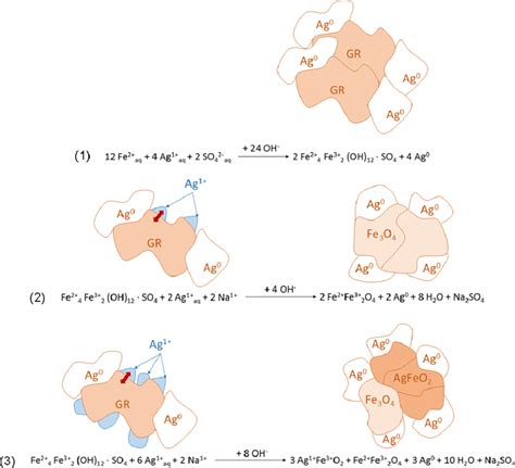 3 Schematic Illustration Of The Assumed Mechanism For Ag 0 Fe 3 O 4