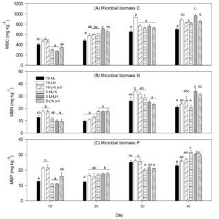 Microbial Biomass C A N B And P C On Days And In