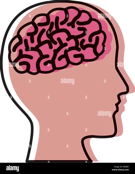 Human Brain Head Silhouette Stock Vector Image And Art Alamy