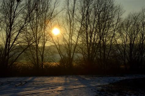 Free Images Landscape Tree Nature Forest Branch Snow Winter