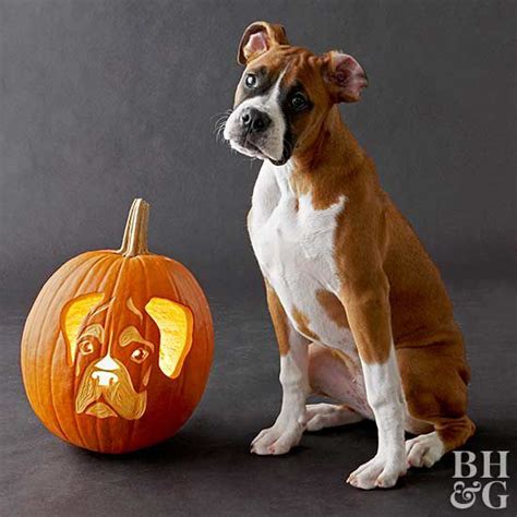 23 Free, Fun, and Easy Dog Pumpkin Carving Stencils