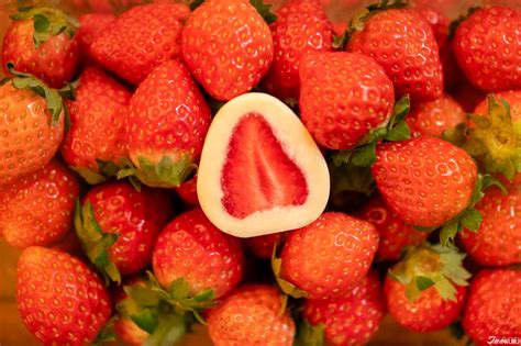 Japankuru Eating Japanese Chocolate Covered Strawberry Snacks That Use