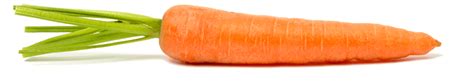 Hq Carrot Png Transparent Carrotpng Images Pluspng