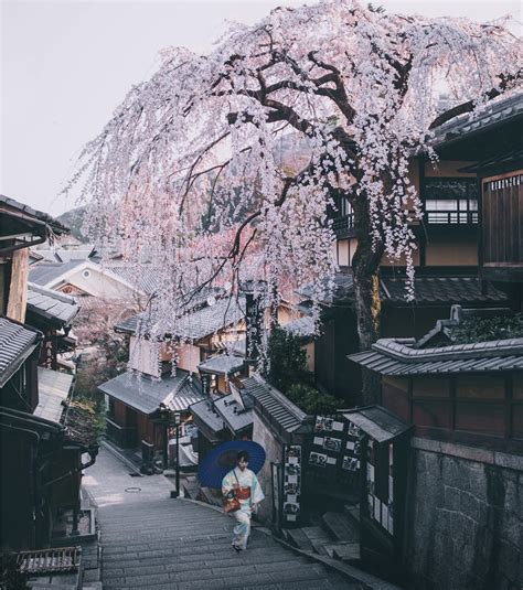 1820 Best Kyoto Japan Images On Pholder Interestingasfuck Pics And City Porn