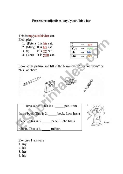 Possessive Adjectives My Your His Her ESL Worksheet By