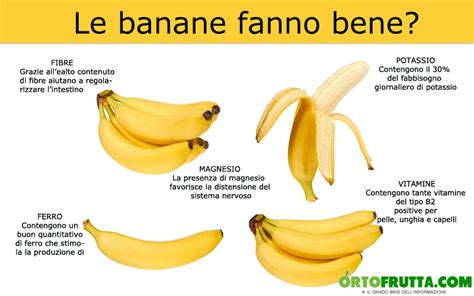 Banana varietà calorie e benefici Ortofrutta