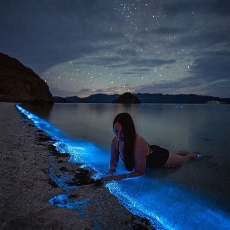 Bioluminiscencia En Puerto Escondido Puente Patrio Equipaje En Mano