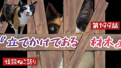 【怖い話】【猫が語る不思議な話】【猫動画】怪談ねこ語り 第199話『立てかけてある材木』 Youtube