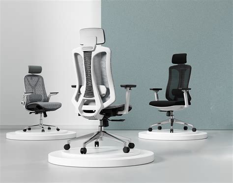 Good Ergonomic Desk Chairs at Katherine Roosa blog