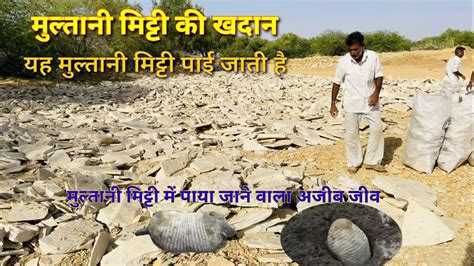 yaha maltana matata paii jata habugdhamara jal ka rajasathana mamaltana