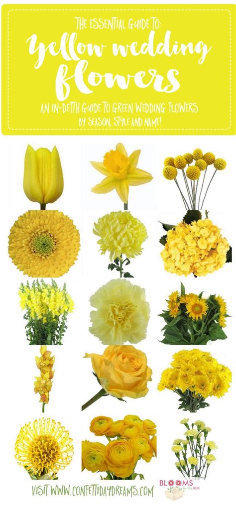 Yellow Wedding Flowers: Names and Types with Flower Tips